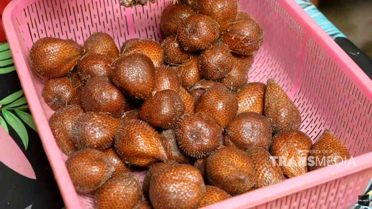 Surganya Salak Pondoh, Desa Wisata Pulesari Sleman yang Edukatif