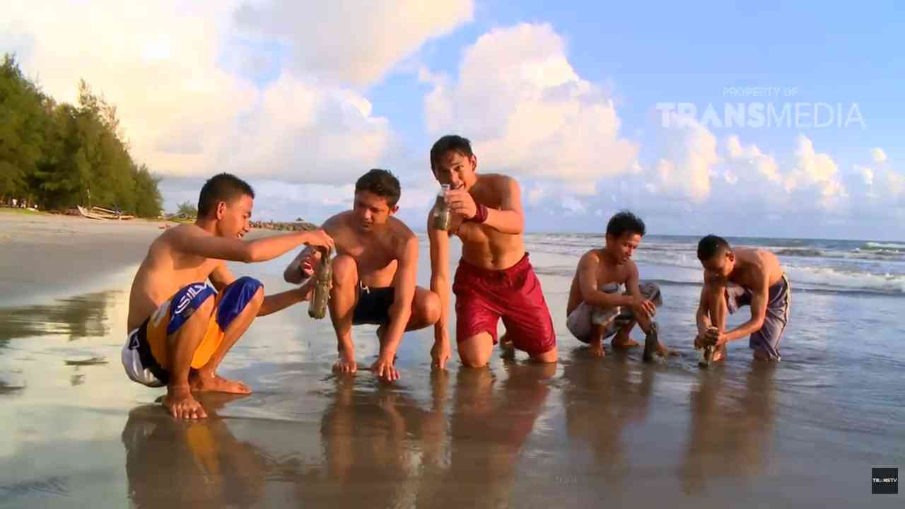 Pantai Kata Pariaman, Harmoni Konservasi dan Rekreasi yang Langka