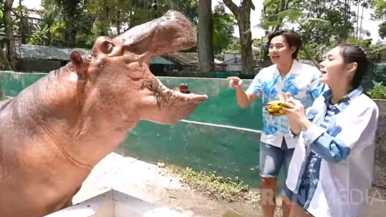 Pengalaman Mendebarkan di Siantar Zoo, Pemantang Siantar