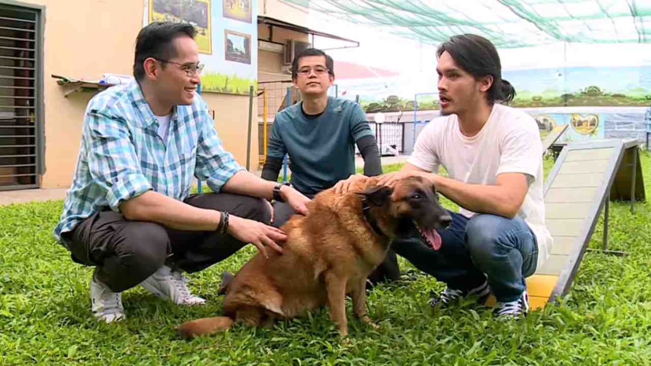 Dr OZ: Waspada! Gigitan Anjing Dapat Membahayakan