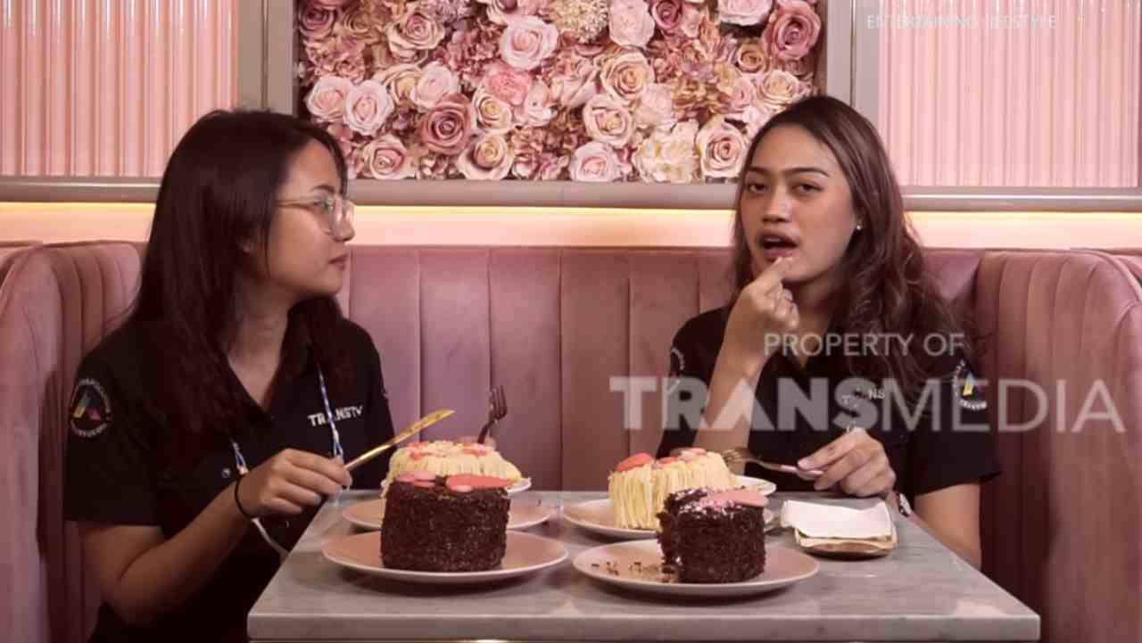 Transvlog