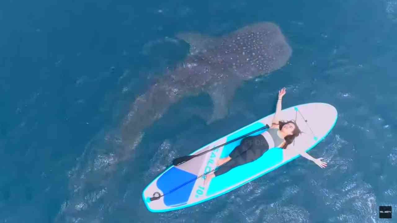 Celebrity on Vacation