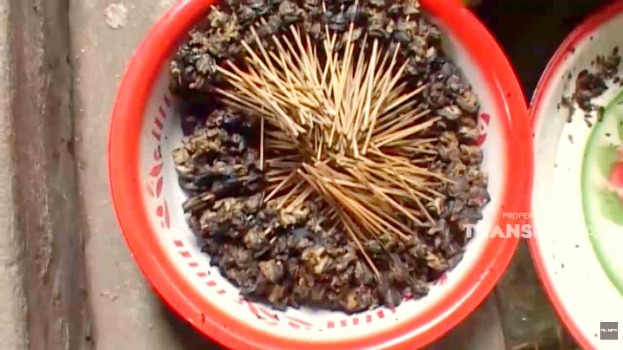 SISI LAIN: Khasiat Sate Bekicot yang Punya Protein Tinggi dan Rendah Lemak