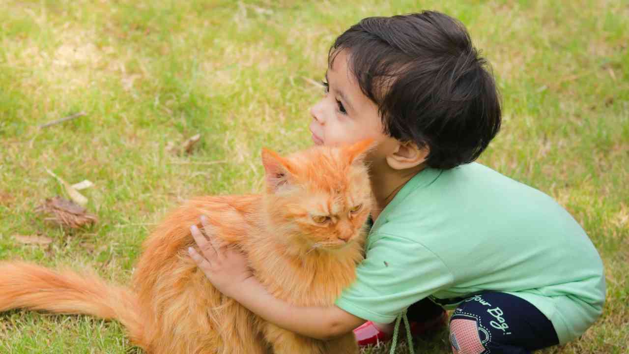 BUAH HATI: Hewan Peliharaan untuk Anak, Media Sosialisasi dan Belajar