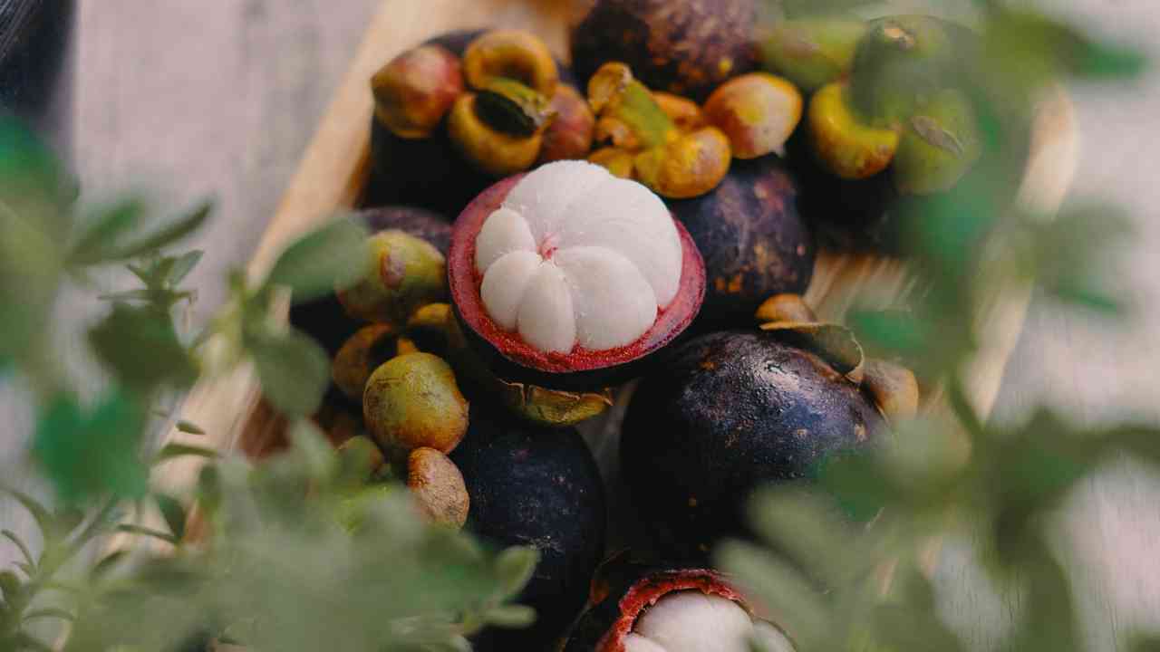 Luar Biasa, Banyak Sekali Manfaat Buah Manggis bagi Tubuh