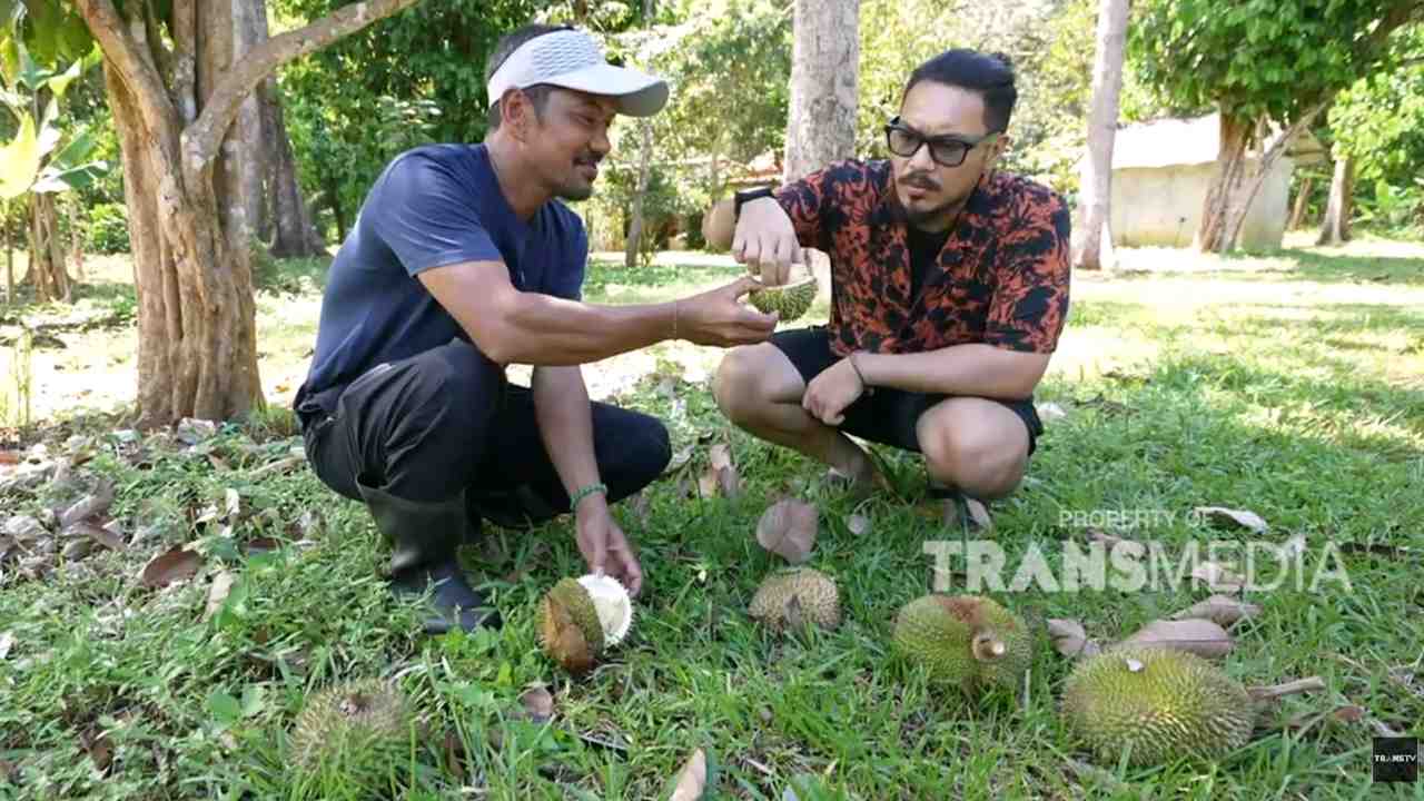 Durian Bintan Rasa Enaknya Bisa Beda, Apa sih Rahasianya?