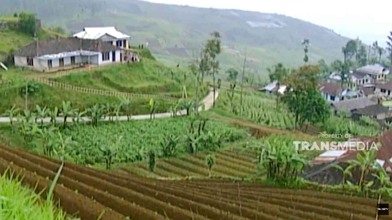 JELAJAH: Lereng Gunung Lawu yang Memukau di Setiap Sudut