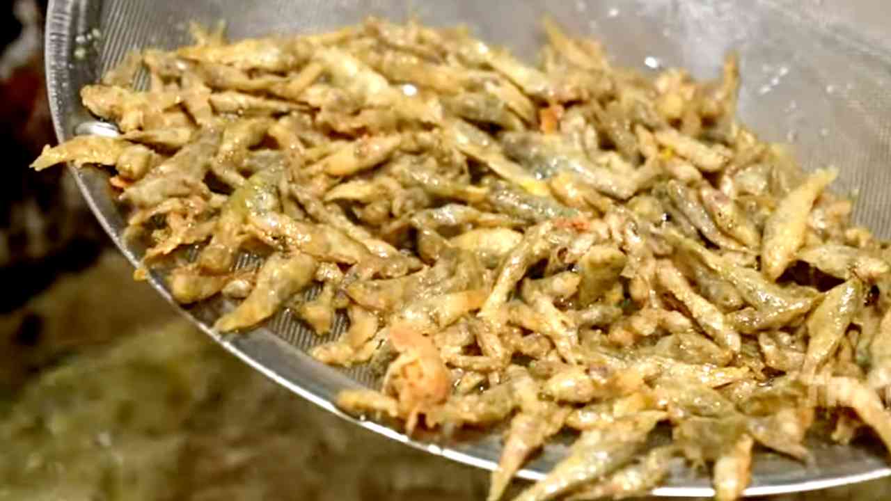 Kandunga Protein Ikan Cetol Penting untuk Pertumbuhan Otot