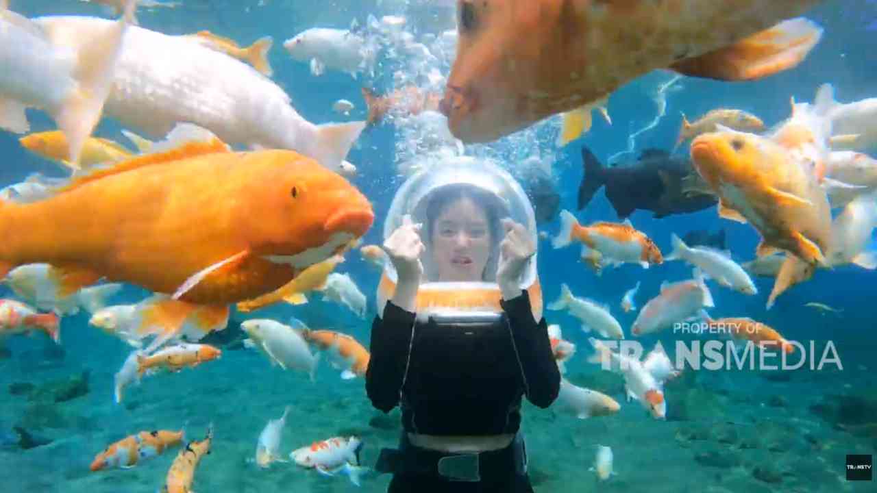 Berenang di Bawah Air Umbul Ponggok Klaten Bersama Ikan dan Properti Unik