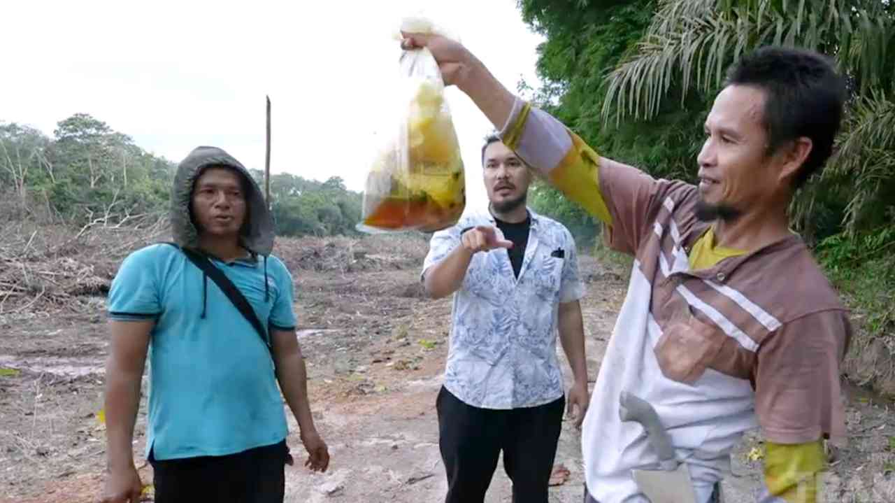 Wah.., Cara Panen Madu dari Sarangnya Ternyata Begini!