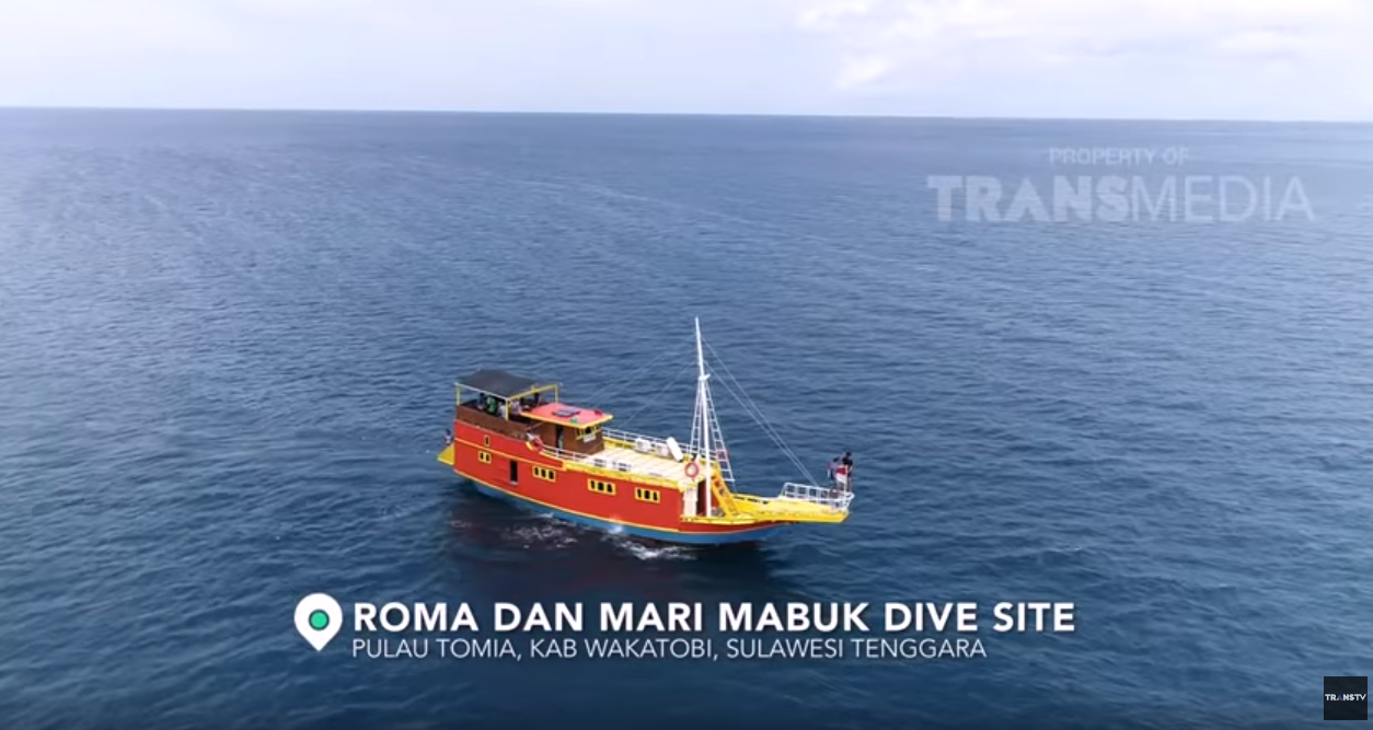 my trip my adventure