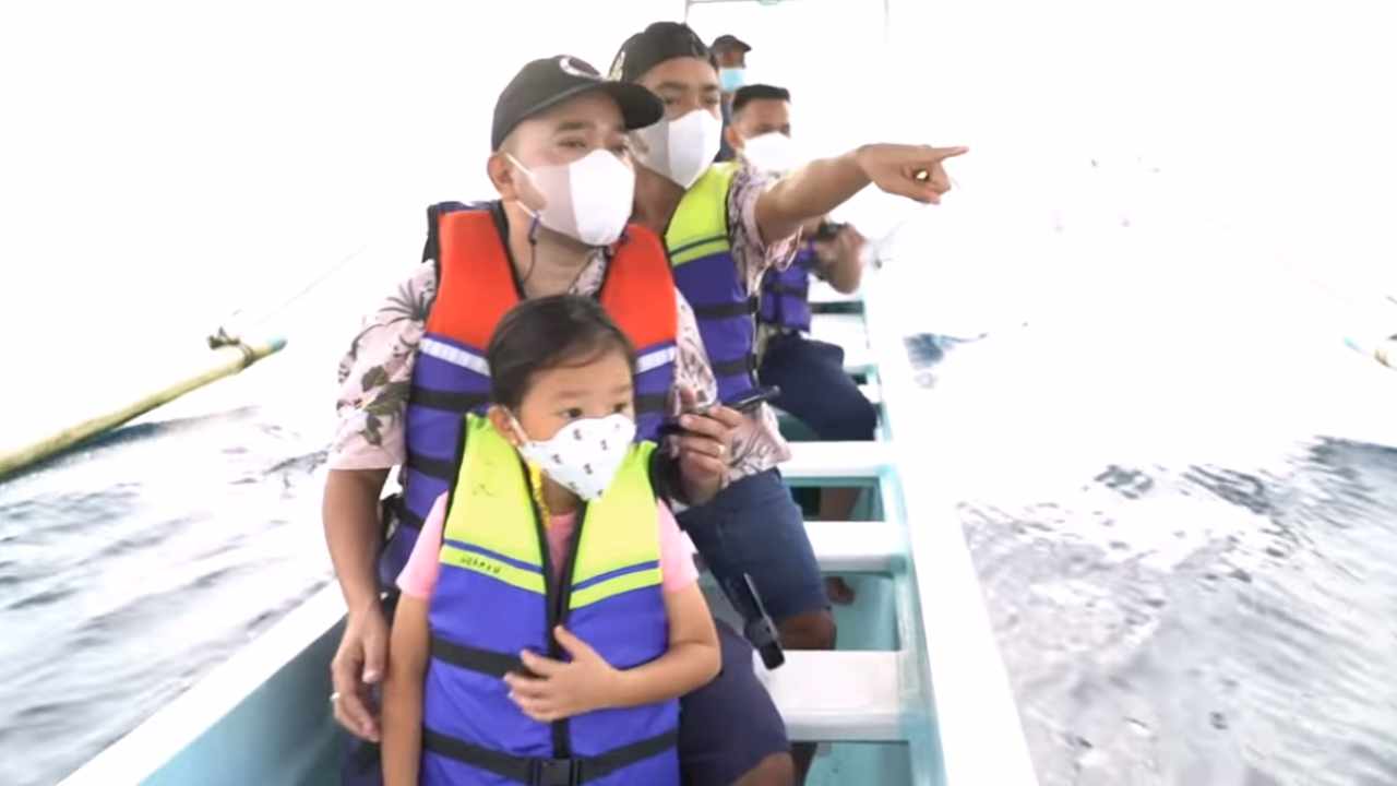 Wow! Ada Lumba-Lumba di Pulau Dewata