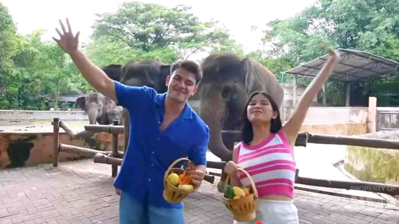 Liburan Ceria di Kebun Binatang Gembira Loka, Yogyakarta