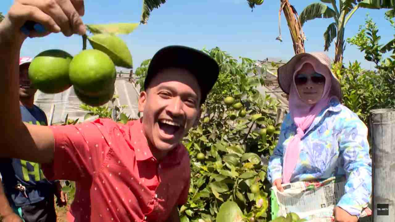 SURVIVOR: Memetik dan Menikmati Manfaat Buah Lemon