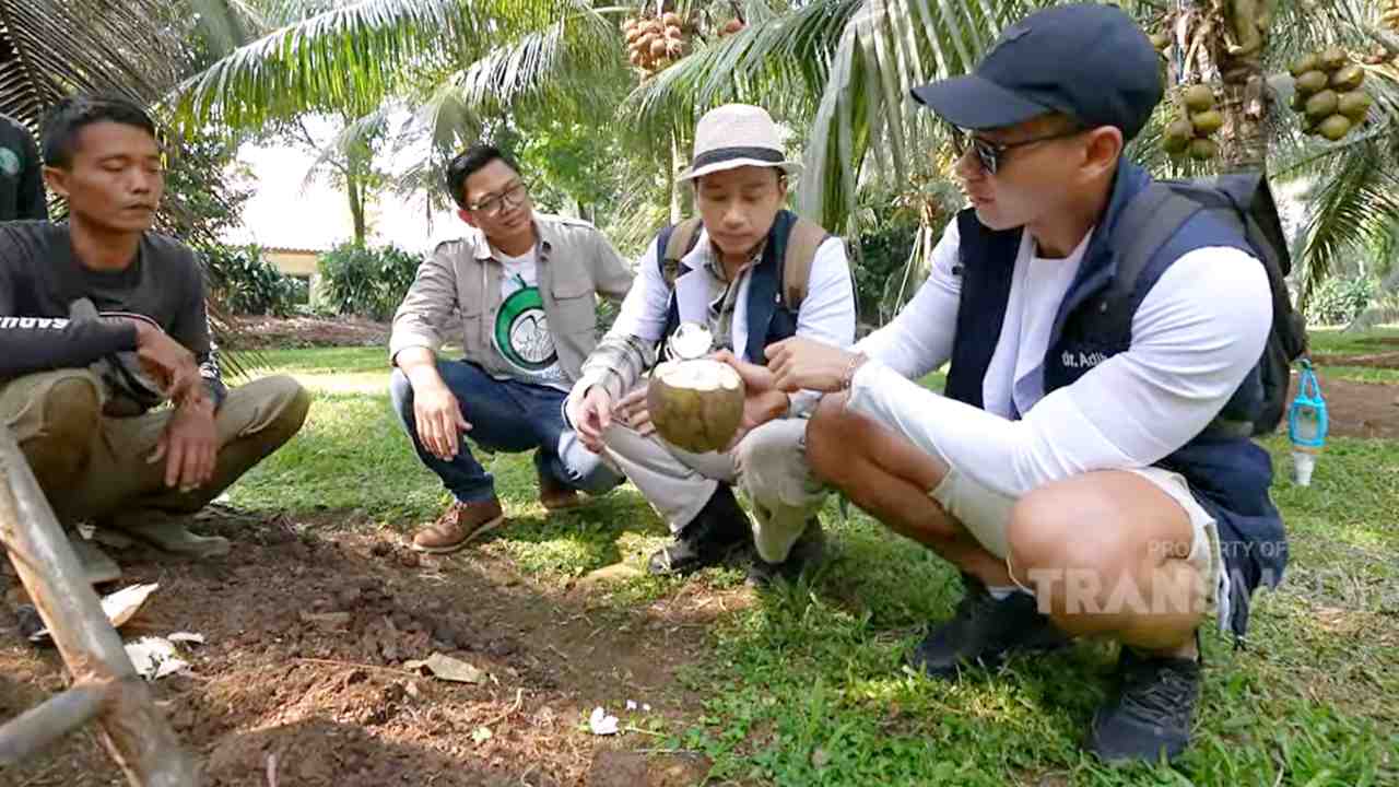 Manfaat Buah Kelapa untuk Kesehatan Banyak Sekali, lho!