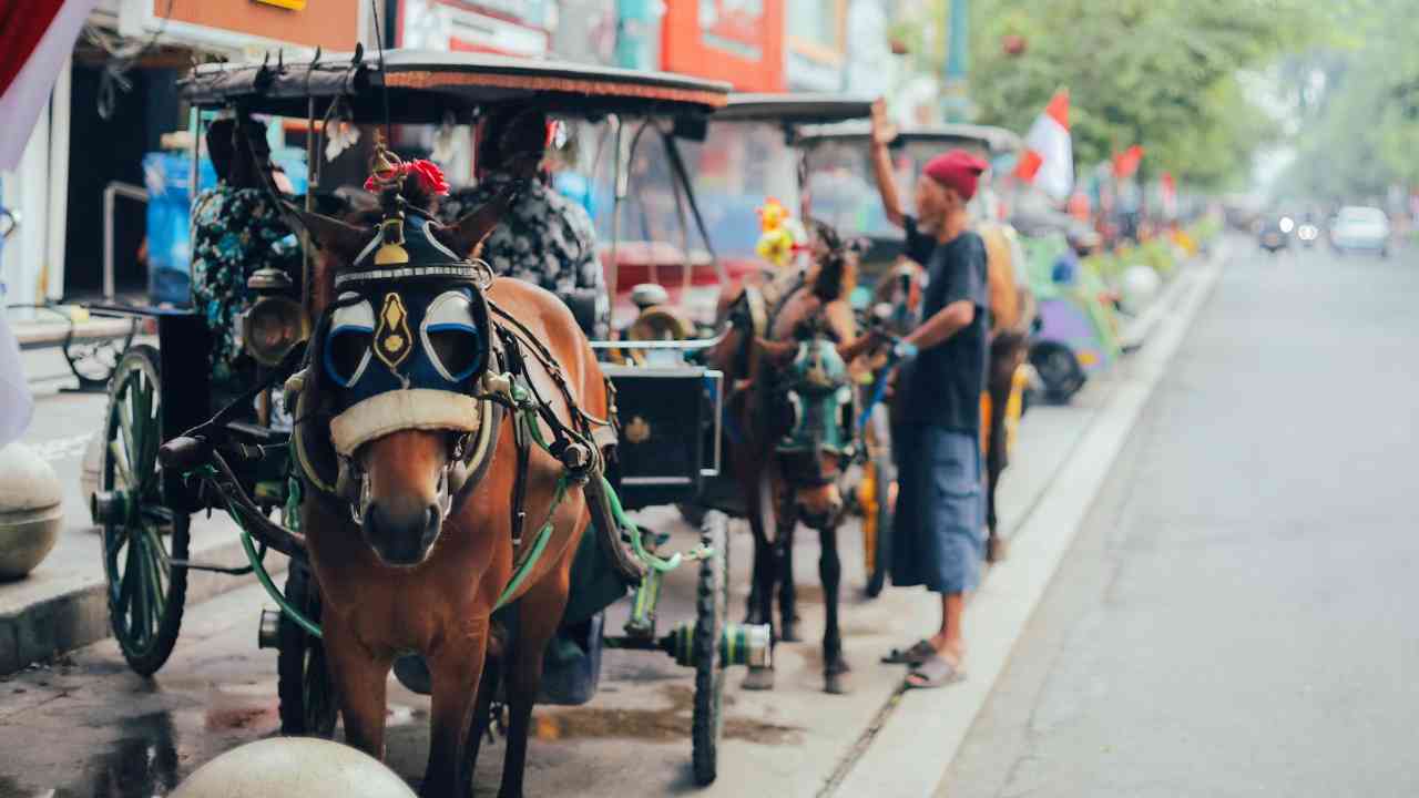 Sejarah Andong, dari Kereta Bangsawan hingga Daya Tarik Wisata