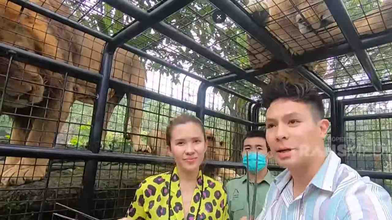 Celebrity on Vacation