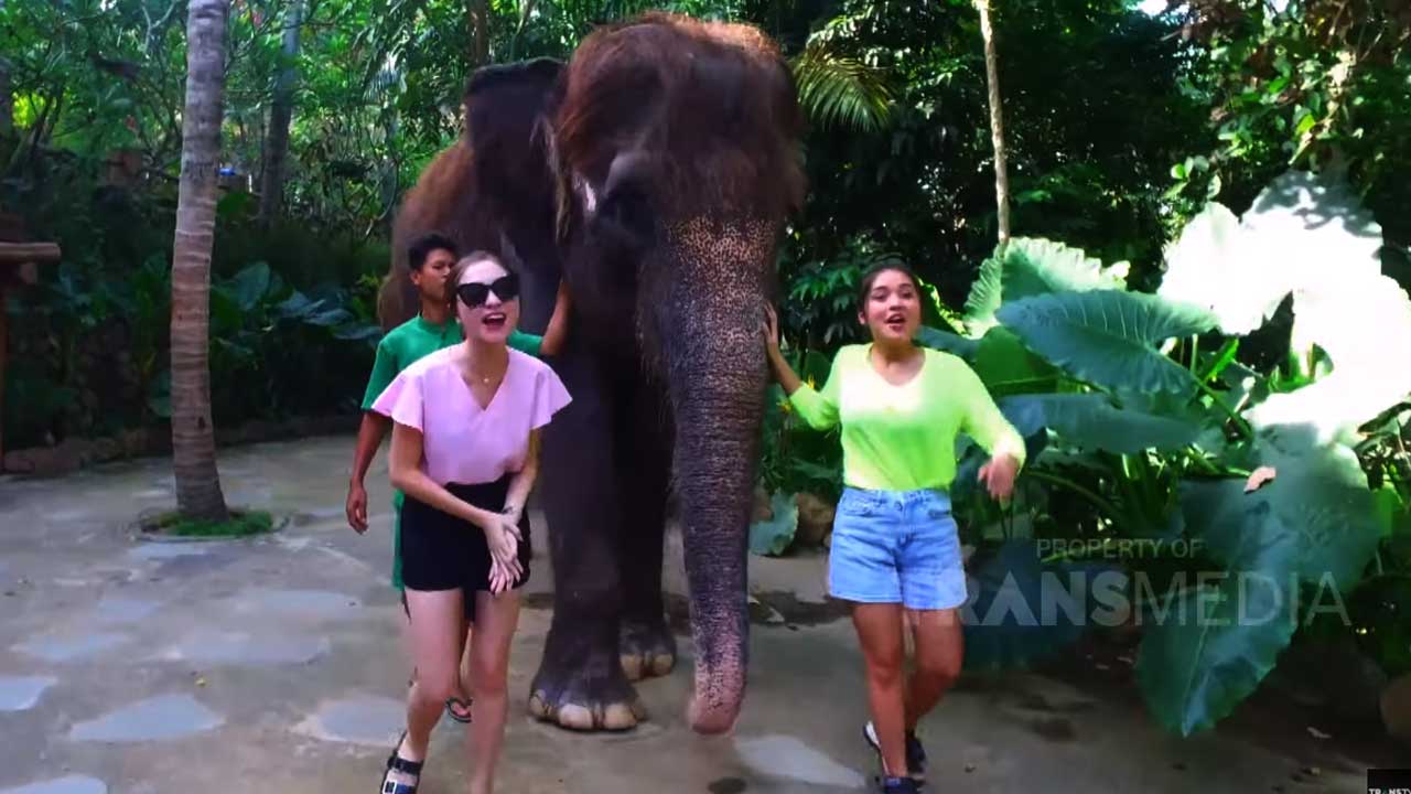 Celebrity on Vacation