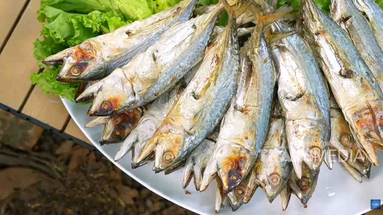 Ikan Panggang Garam, Kesederhanaan yang Menghasilkan Kelezatan Berkelas