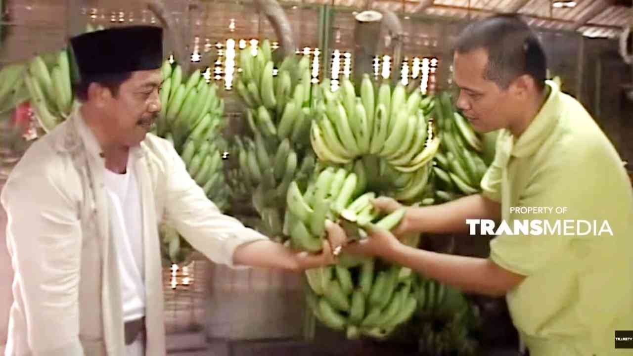 BOSAN JADI PEGAWAI: Jualan Buah Punya Cara dan Trik Tersendiri
