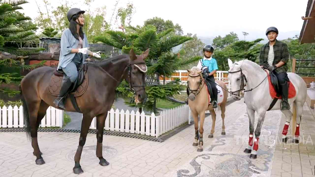 Istana Stable Equestrian Park, Tak Sekadar Bermain dengan Kuda