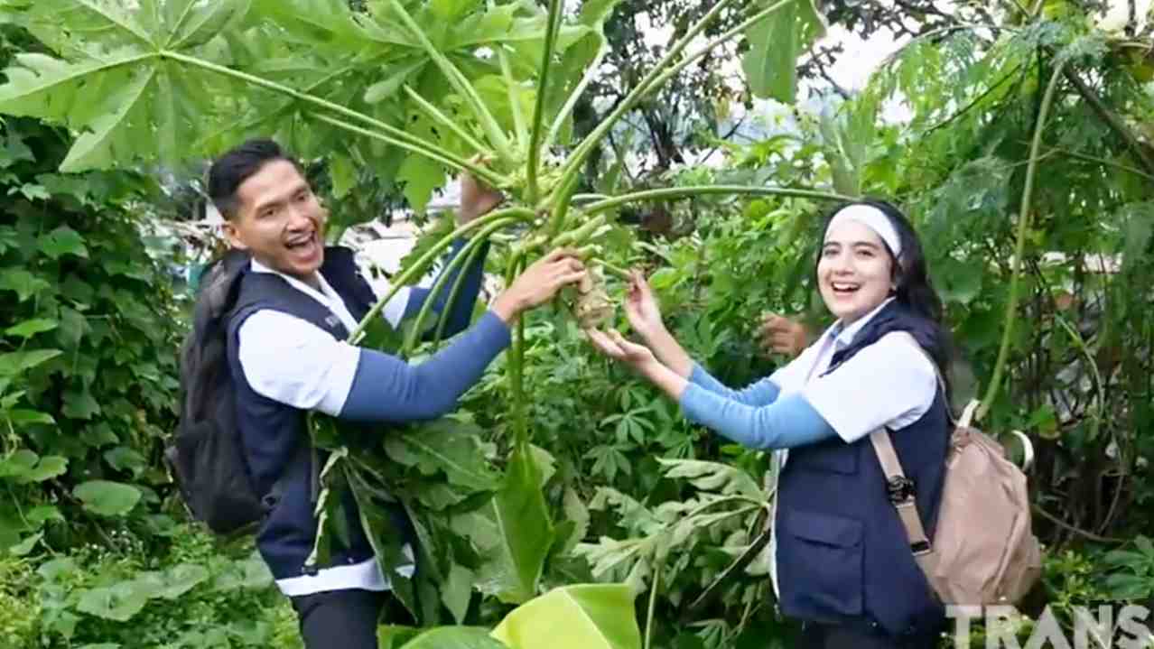 Ada Efek Daun Pepaya untuk Asam Urat, Amankah Dikonsumsi?