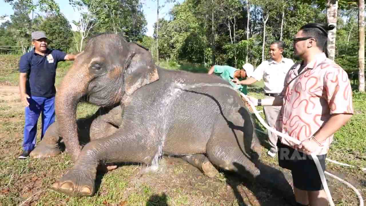 Pesona Safari Lagoi Bintan, Wisata Edukasi yang Tak Terlupakan