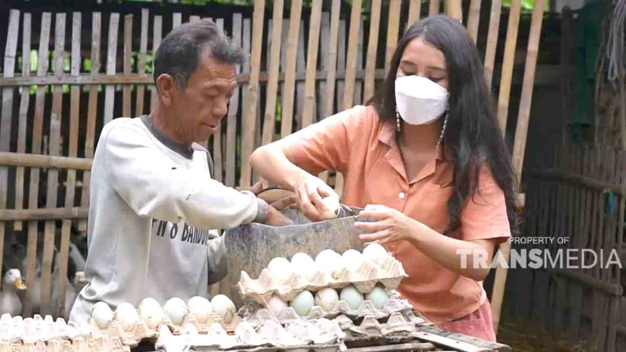 Kakek Sebatang Kara yang Menghabiskan Hidupnya dengan Ternak