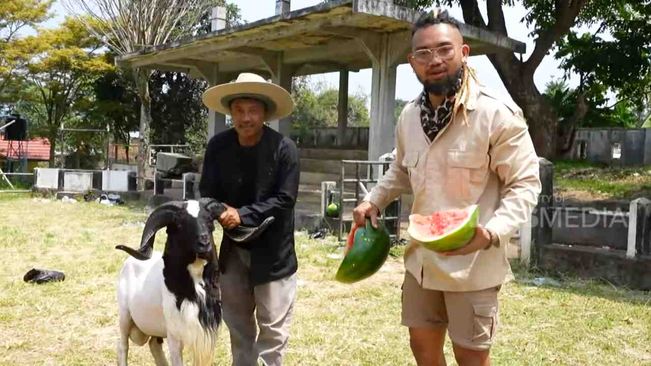 King of The Jungle King of The Jungle