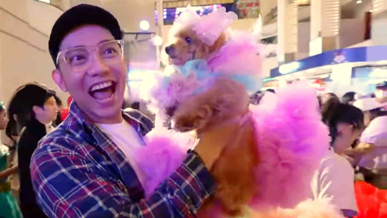 Menguak Tren Perayaan Ultah Anabul yang Mewah dan Meriah