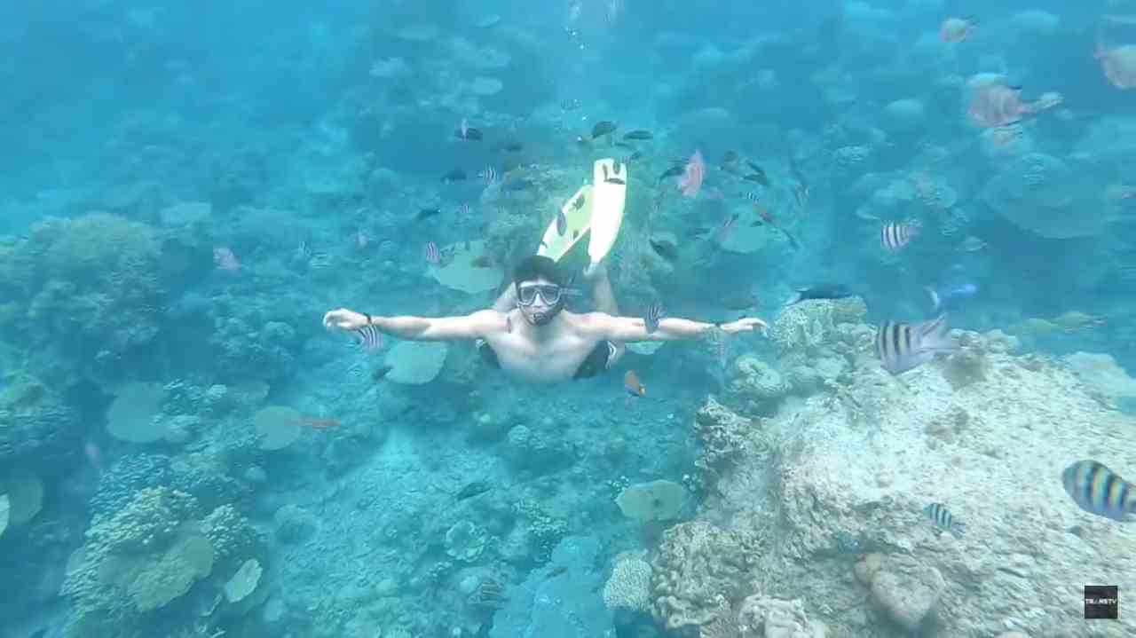 My Trip My Adventure