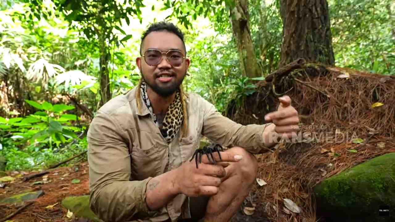 King of The Jungle
