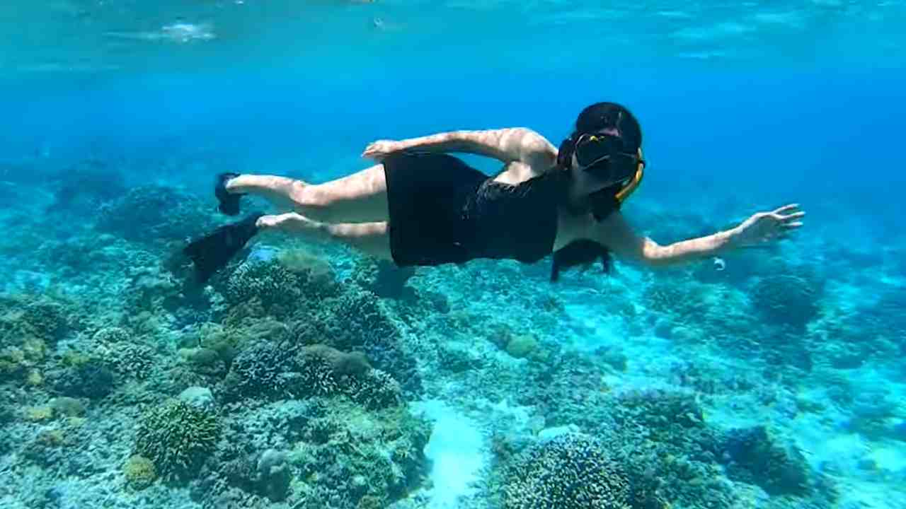 Celebrity on Vacation