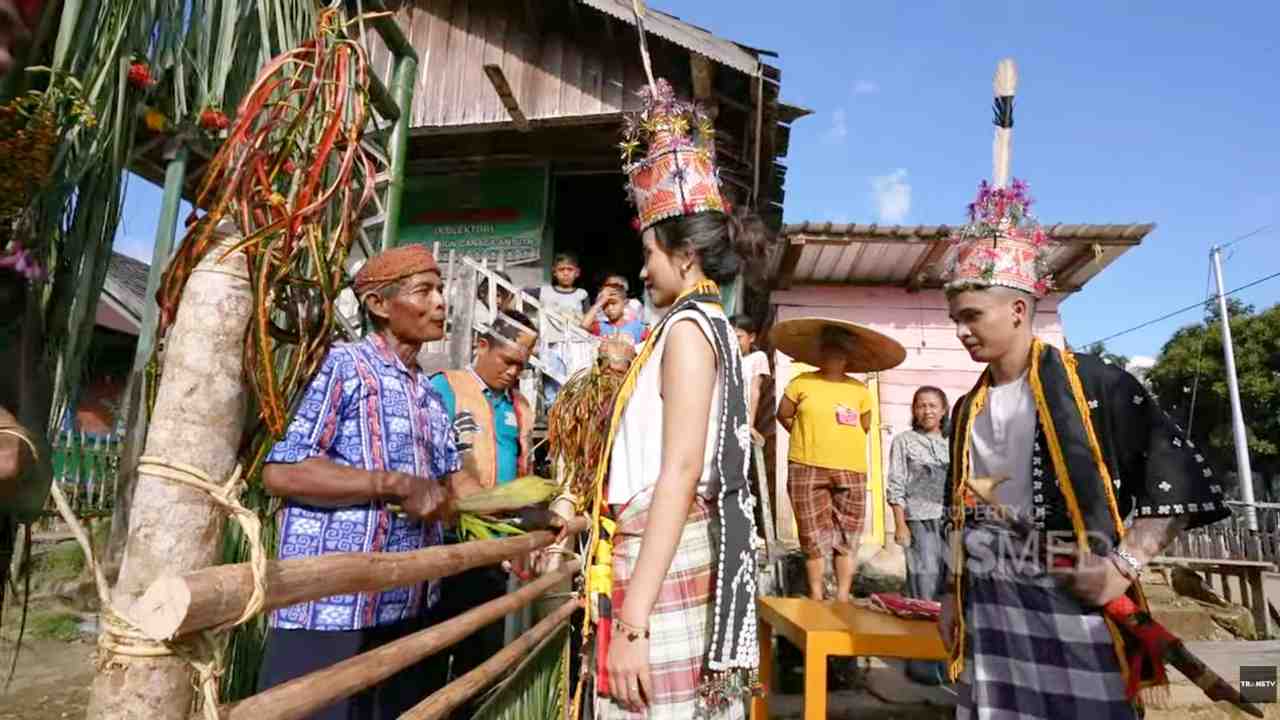 Suku Dayak Tomun di Desa Kinipan, Penjaga Hutan dan Warisan Budaya