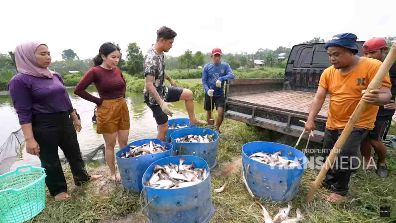 Tanah Air Beta Tanah Air Beta