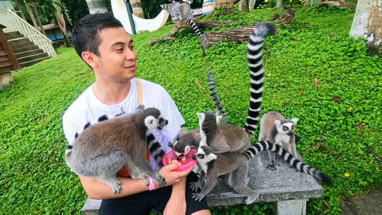 Pesona Shenzhen Safari Park, Rumah bagi Ratusan Jenis Satwa Dunia