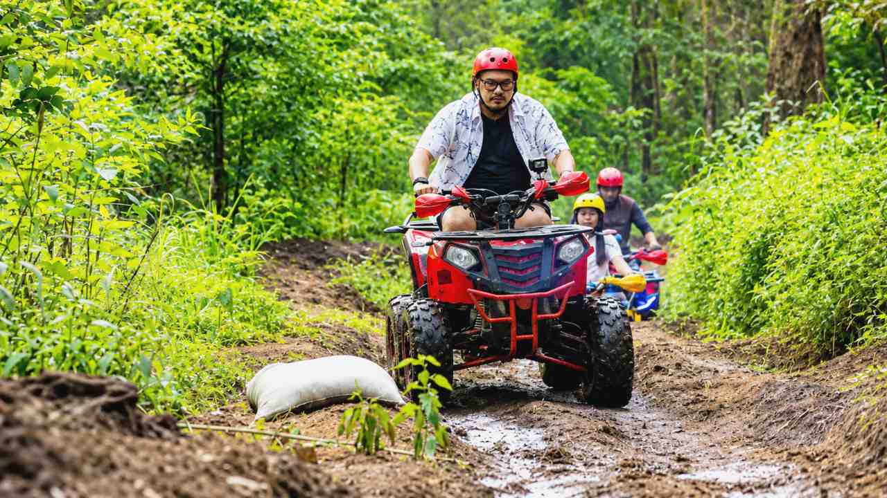 Pine Park Cikole, Destinasi Wisata ATV dan Gokart Seru di Lembang