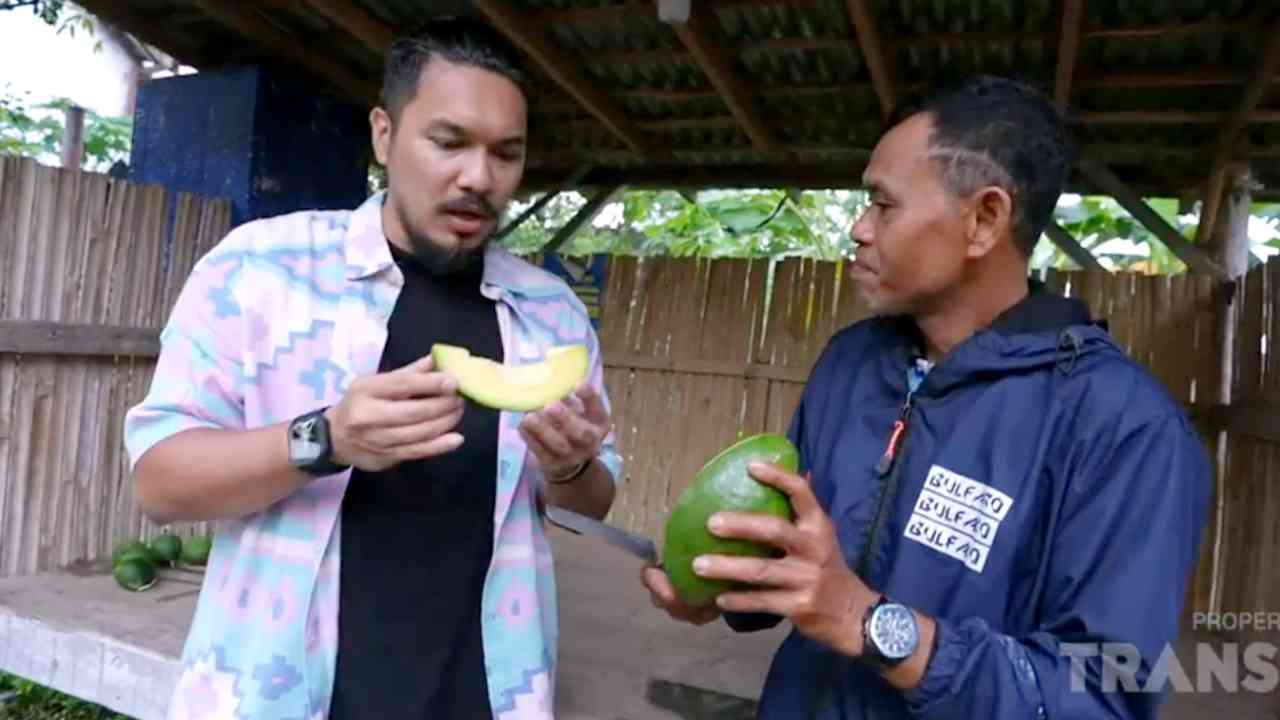 Buah Alpukat di Desa Banyubiru, Semarang Kualitasnya Luar Biasa