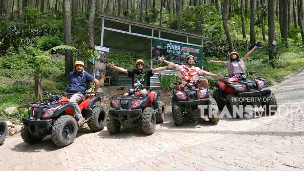 Pinea Forest Mangli, Spot Estetik di Magelang untuk Pecinta Wisata Alam