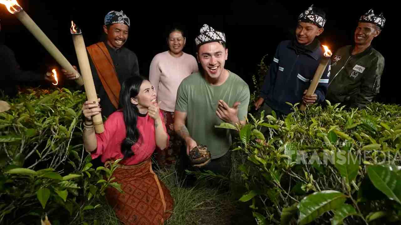 Tradisi Pengambilan Sarang Engang Berbekal Obor dan Keberanian