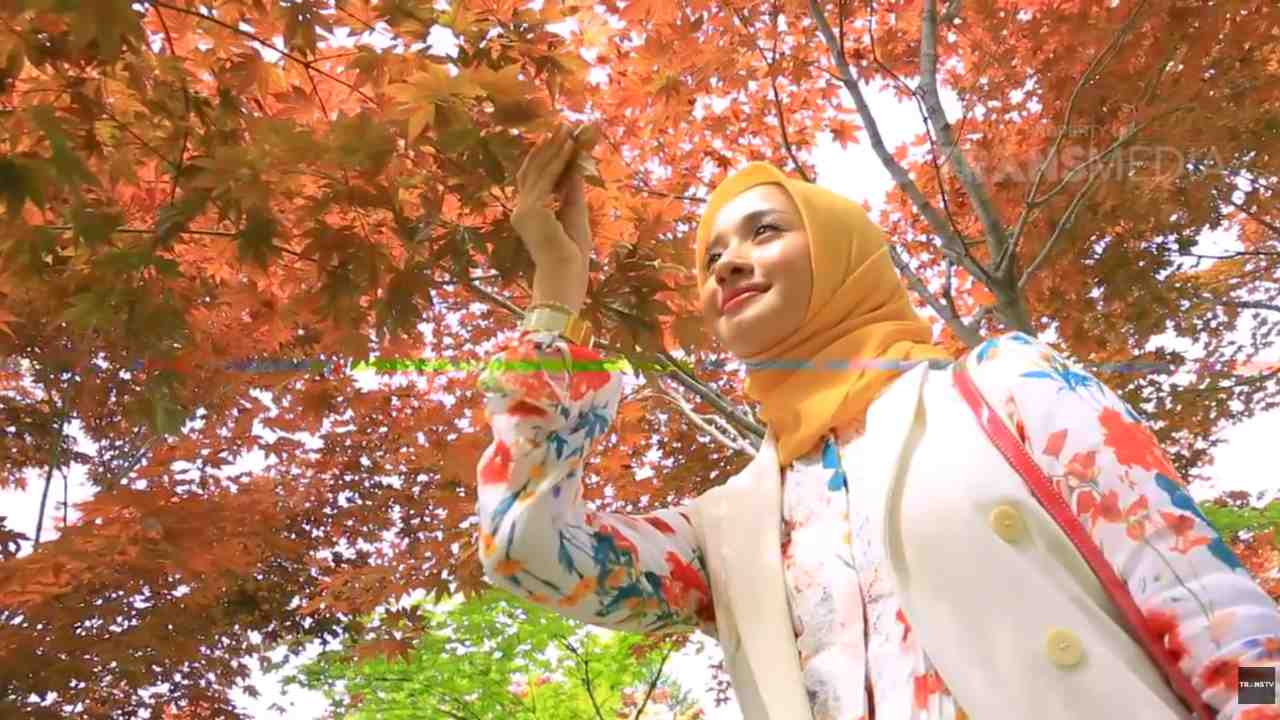 DIARY BELLA: Wisata Nami Island Korea Selatan, Apa Istimewanya ya?