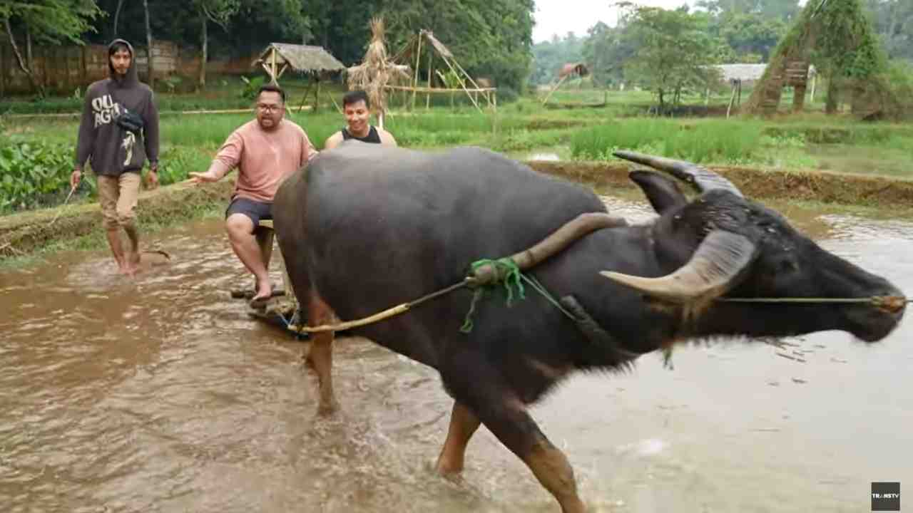 Keluarga Sonfai Keluarga Sonfai