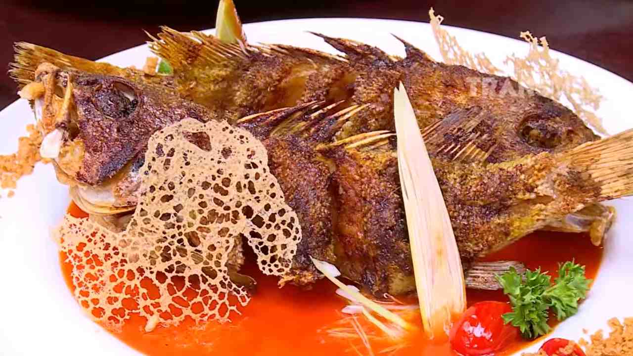 Favorite Culinary