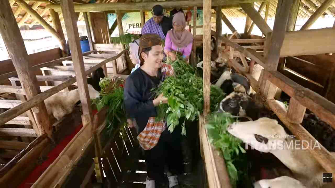 Desa Wisata Cibuntu, dari Kampung Domba hingga Air Terjun Cimanintin