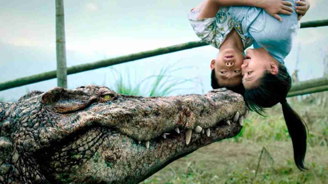 Bioskop TRANS TV