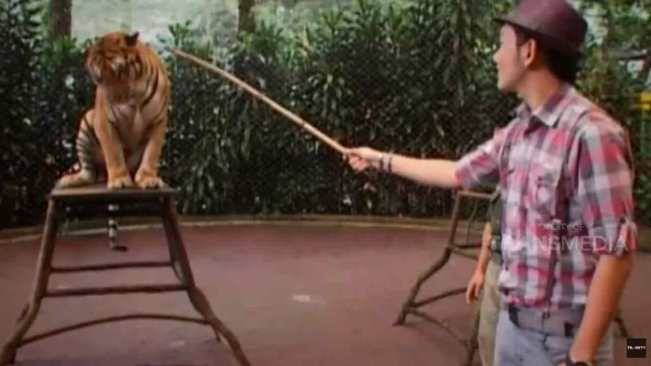 Favorite TV Program