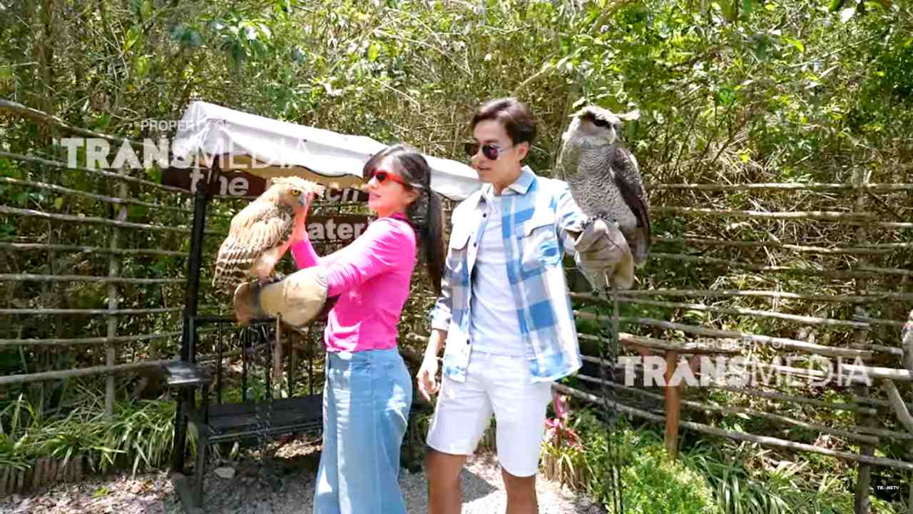 Celebrity on Vacation
