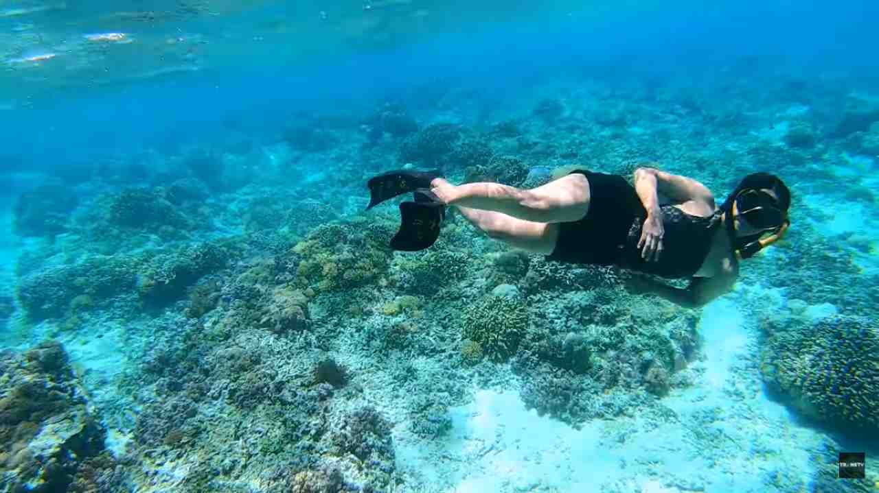 Celebrity on Vacation