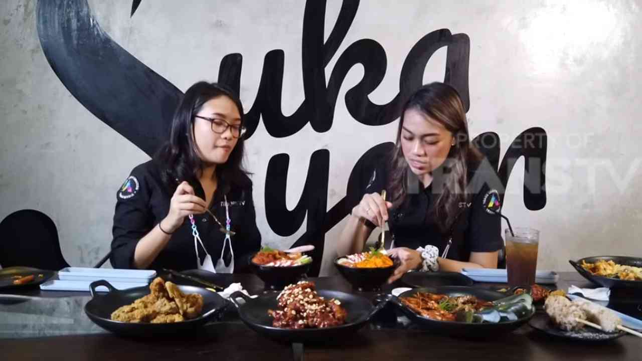 Transvlog