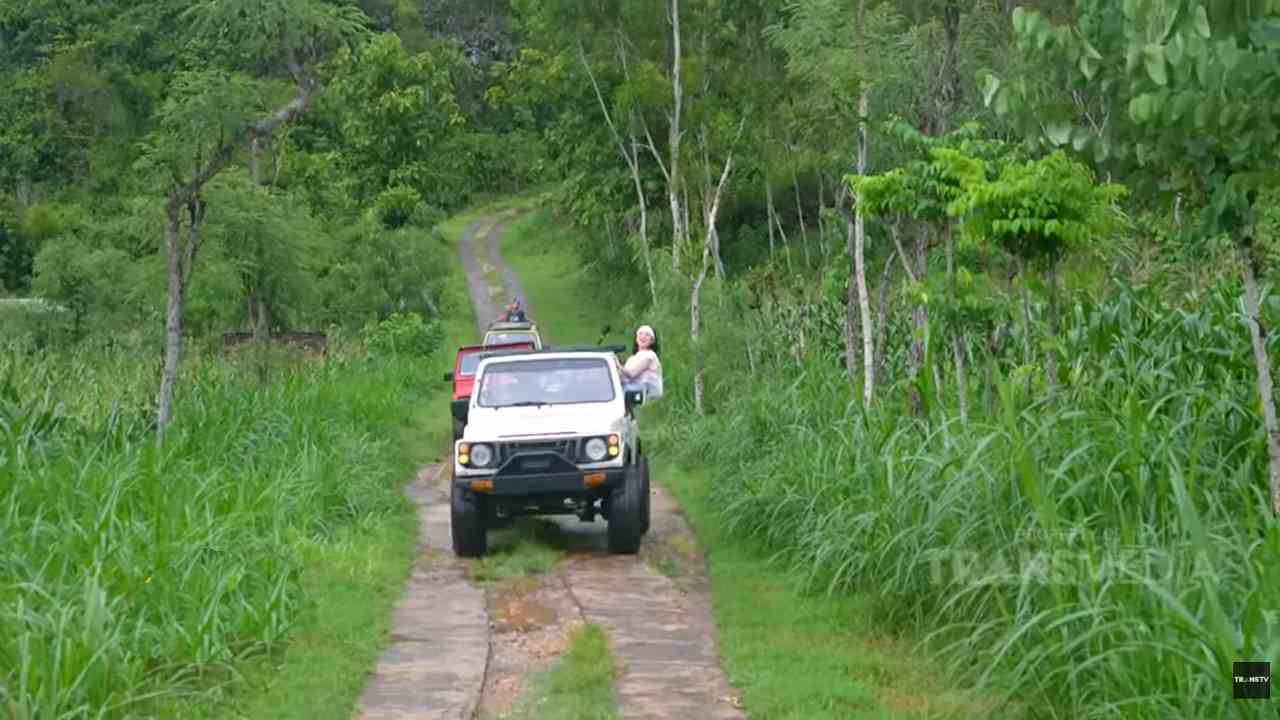 Pesona Bukit Pengilon di Purwodadi, Lanskap Hijau Berpadu Birunya Laut